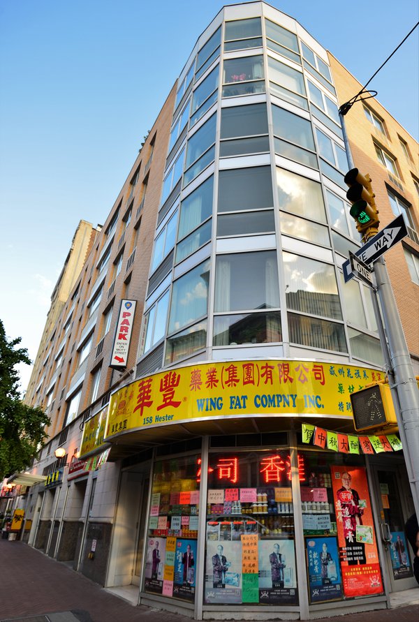 
            Hester Gardens Building, 158 Hester Street, New York, NY, 10013, Chinatown NYC Condos        